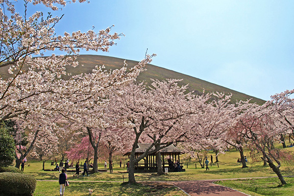 伊東小涌園