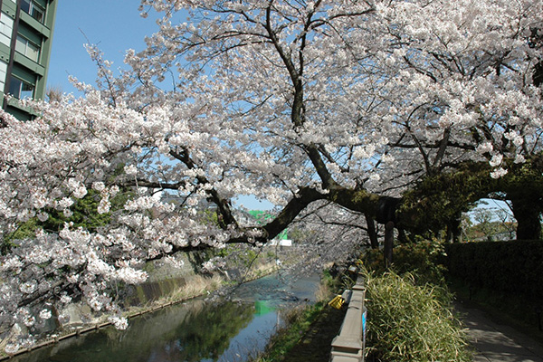 伊東小涌園